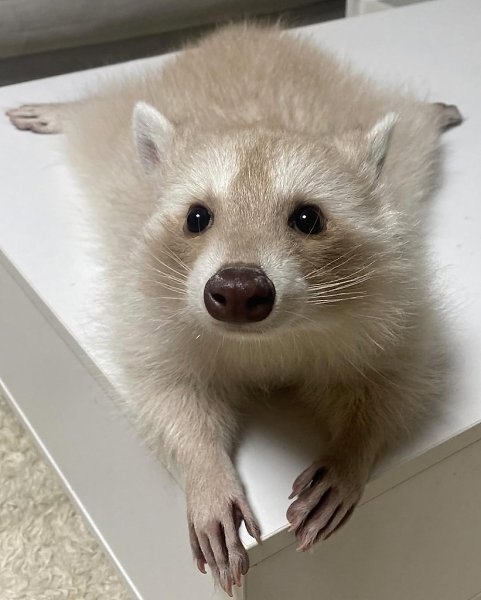   -,   .        ,  ... - 3