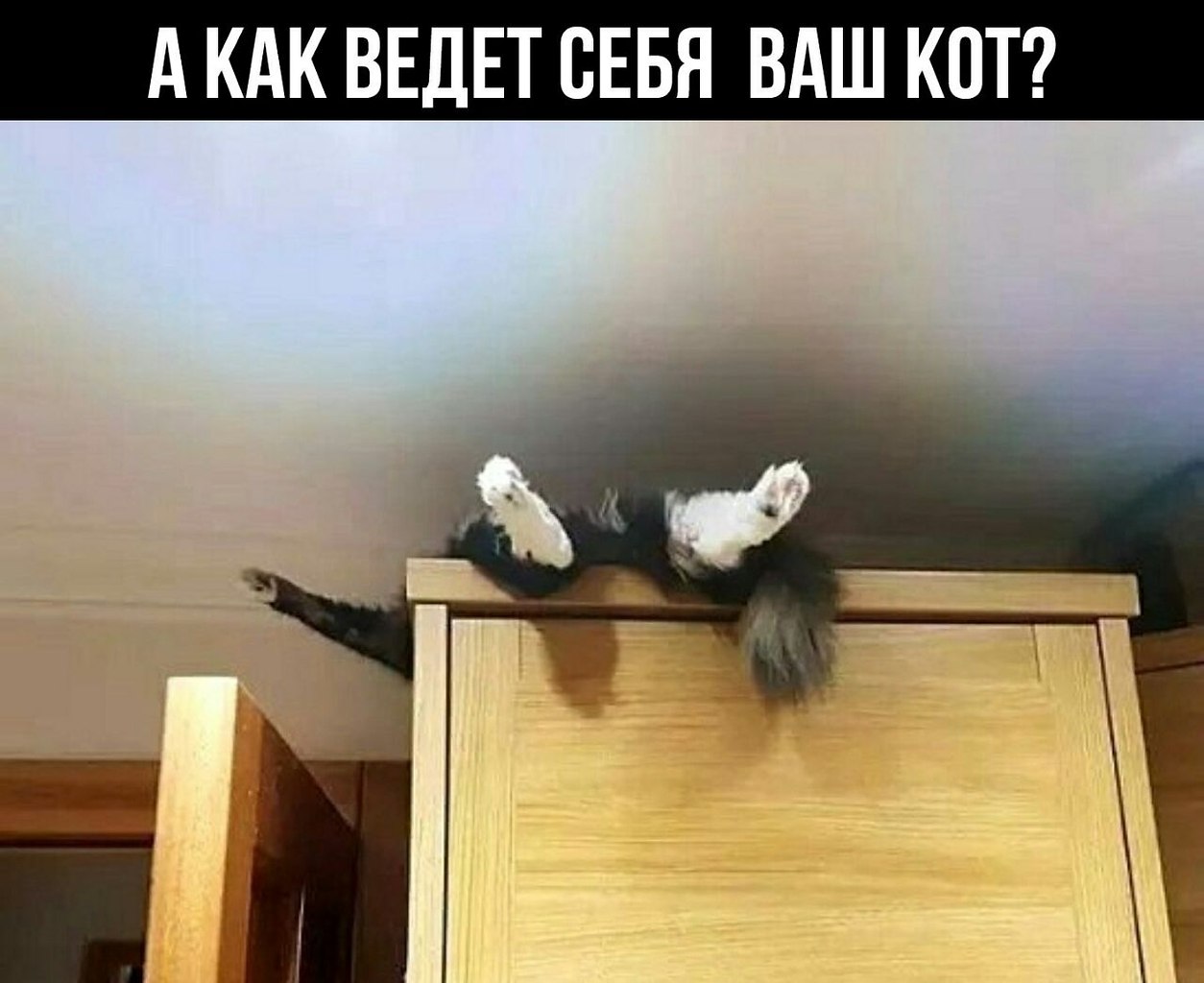    - 8  2023  18:20