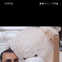 ���� ������, �����������, 50 ��� - ��������� 4 ������ 2026