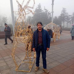 �������, ����, 44 ����