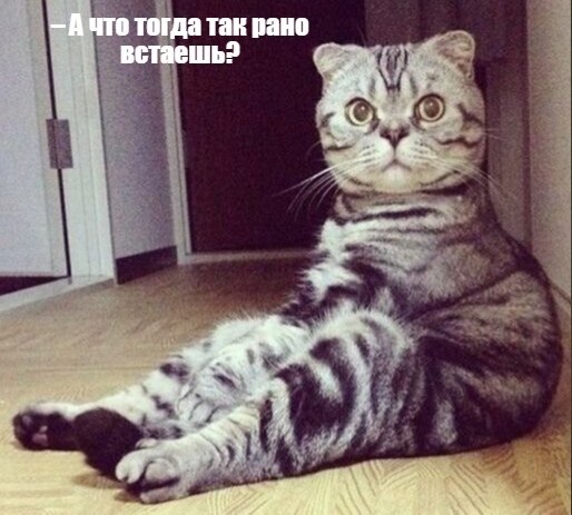 ��� ���� � ����� �� �� - 19 ����� 2026 � 18:30 - 3