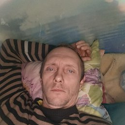 ���� ������, ������-��-����, 41 ��� - ��������� 2 ������ 2026