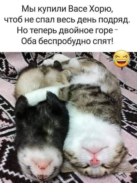 �������� ������ - 31 ��� 2025 � 16:45