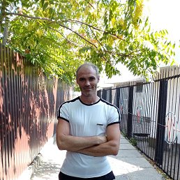 ������, �����, 43 ����