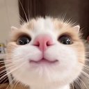 ���� �������, ������, 25 ��� - ��������� 18 ������ 2026 � ������ ���� ����������