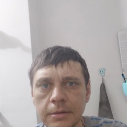 , 41, 