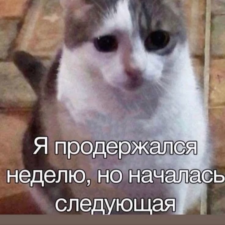 �������. - 14 ��� 2026 � 17:47