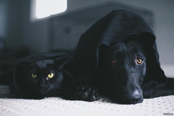 ������ �������� - 2