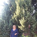 ���� �����, �����, 75 ��� - ��������� 28 ������� 2026