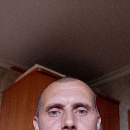 , 41, 
