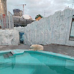 ���� �����, ���������, 48 ��� - ��������� 2 ������ 2026