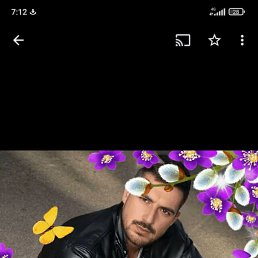  , 46 , 