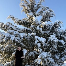 �����, ���������, 29 ���