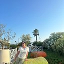 ���� �������, ������, 50 ��� - ��������� 26 ������� 2025 � ������ ���� ����������