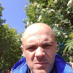, 40, 