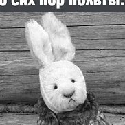 �����, 41 ���, ������