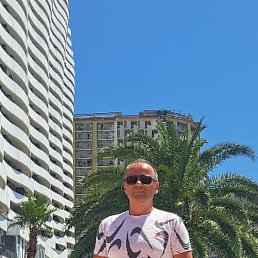 �����, �������, 46 ���