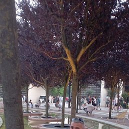 ��������, ���������, 53 ����