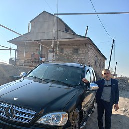 �����, ���������, 41 ���