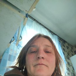 , 44, 