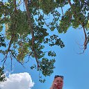 ���� ������, �����������, 55 ��� - ��������� 24 ���� 2024 � ������ �������
