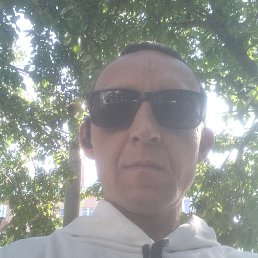 , 44 , 