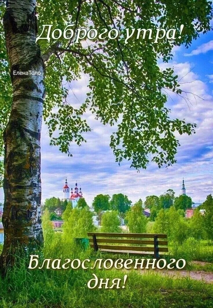 ***Victoria Viktorovna*** - 25  2025  03:54