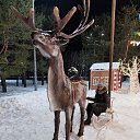 ���� ����, ��������� - ��������� 4 ������ 2024 � ������ ���� ����������