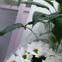 ���� �����, ��������, 56 ��� - ��������� 1 ����� 2025