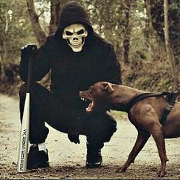 �����, 30 ���, ������