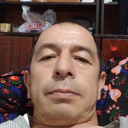 ������, �������, 48 ���