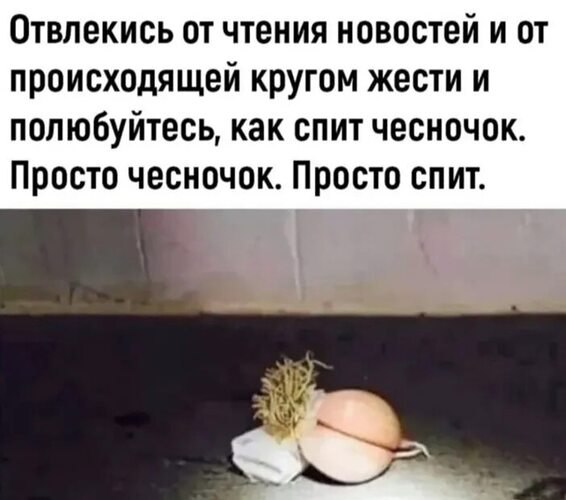   - 18  2025  11:52
