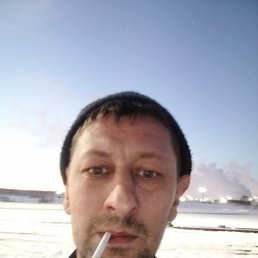 , 41 ,  