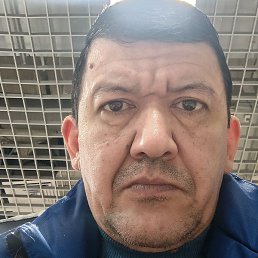 ����, ��������, 44 ����