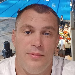 �������, ���������, 41 ���