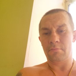 ������, 37 ���, ������