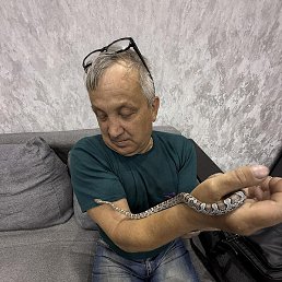 �������, �������-���������