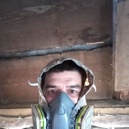 ���� �����, ������������, 38 ��� - ��������� 24 ��� 2026