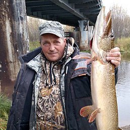 ������, 51 ���, ��������