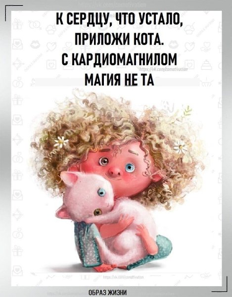 ������ �����.