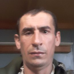 ���������, ��������, 43 ����