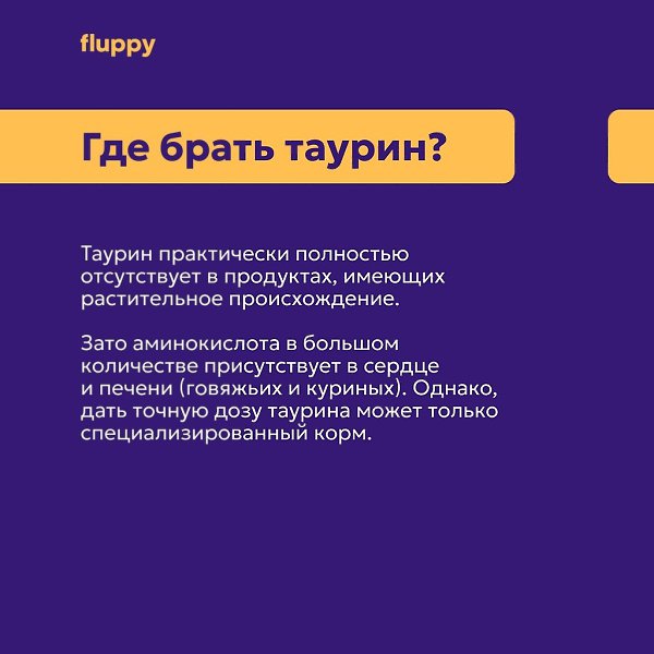 Что такое таурин и какую роль играет в жизни кошек? Рассказали в картинках Больше о здоровье котов в ... - 8