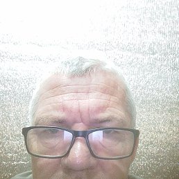 , 51, 