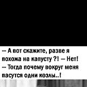 ���� ������, ������, 33 ���� - ��������� 19 ������� 2025 � ������ ������ ��������