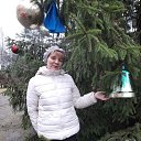 ���� ������, ����������, 71 ��� - ��������� 17 ������� 2025 � ������ ���� ����������