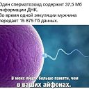 ���� �����, �������, 51 ��� - ��������� 21 ������ 2026 � ������ ������ ��������