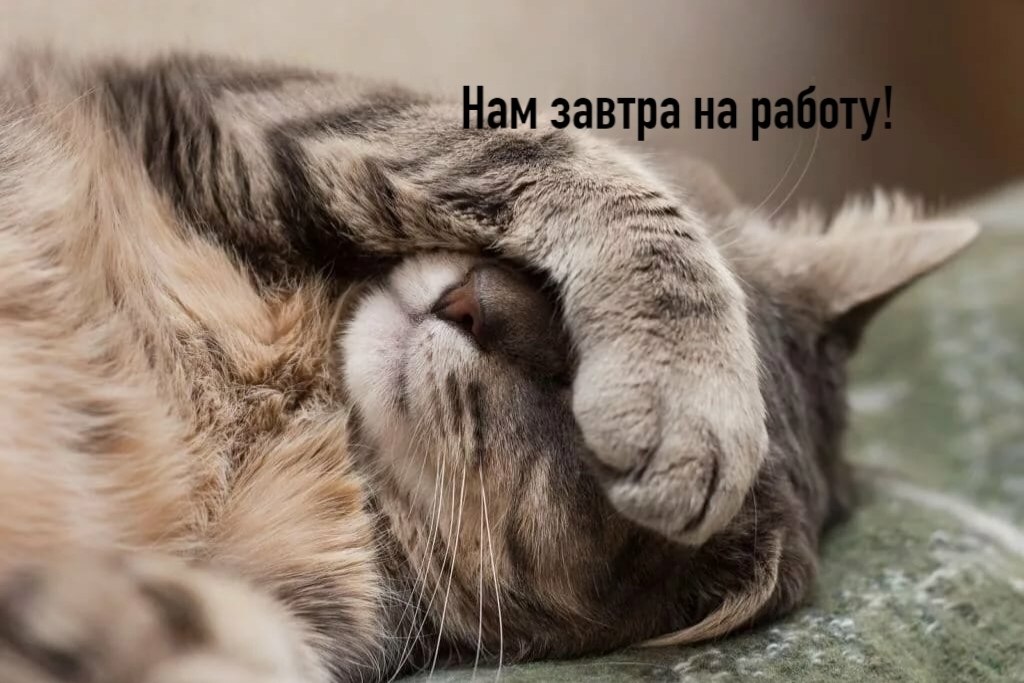       - 30  2025  21:49 - 4