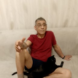 ����, 55 ���, ���������