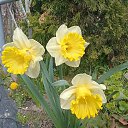 ���� Nastasya, ����, 34 ���� - ��������� 21 ������ 2026 � ������ ������ ��������