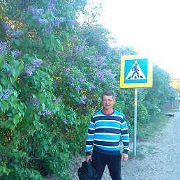 , 49, 
